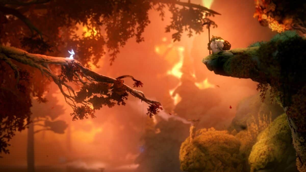 A small glowing creature stands on a tree branch, facing a larger creature on a cliff, amidst a warm, autumnal forest scene.