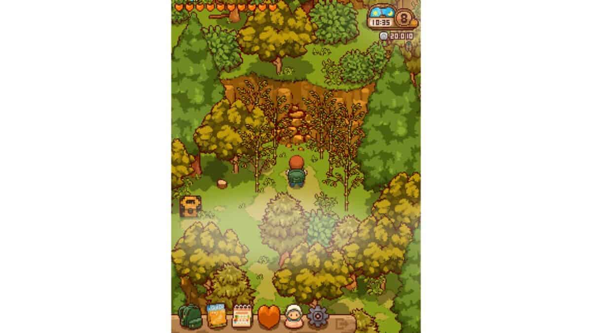 Pixel art forest scene from a top-down adventure game, with a character standing near a cliff, surrounded by trees, rocks, and game interface elements at the top and bottom of the screen.