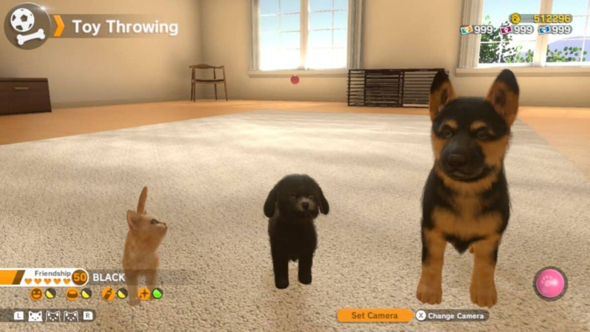 A virtual room with a kitten, a black poodle, and a German Shepherd puppy standing on a carpet; game interface elements are visible on screen.
